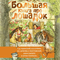 Большая книга про лошадок. Часть 5 - Константин Корольков & Александр Аравушкин & Иван Букчин & Артур Агаджанян