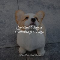 Ambience - Jazz Music Therapy for Dogs & RelaxMyDog & Jazz Music for Dogs