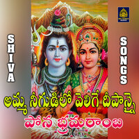Amma nigudilo velige dipannai pona bhramaramba - A. Ramadevi