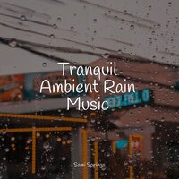 Ocean, Small, Waves - Rain Sounds & Nature Sounds & Sleep Sound Library & Ocean Sounds