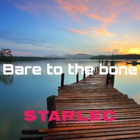 Heavy Promises - Starlec