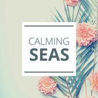 The Ocean and the Full Moon - Spa Music Collective
