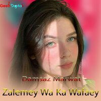 Asi Kata Dey - Damsaz Marwat