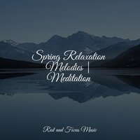 Fall Time Colors - Alpha Waves & Meditation & Tranquil Music Sound Of Nature