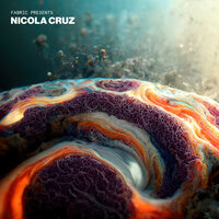 Polylayering What I've Got - Marco Shuttle & Nicola Cruz