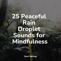 Rain From the Heavens - Water Sounds for Sleep & Anxiety Relief & Sample Rain Library