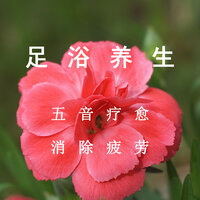 温柔邂逅 - 疗愈音律