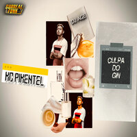 Culpa do Gin - MC Pimentel & DJ Age