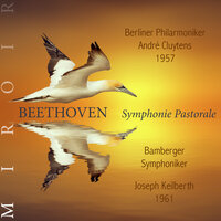 Symphonie n°6, Op. 68 "Pastorale": V. Allegretto - Bamberger Symphoniker & Joseph Keilberth & Ludwig van Beethoven