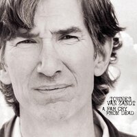Many A Fine Lady - Townes Van Zandt