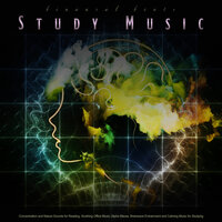 Music For Reading - Binaural Beats Study Music & Music For Studying & Study Alpha Waves