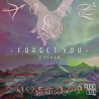 Forget You - T Sleek