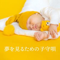 穏やかな新生児 - ララバイアカデミー