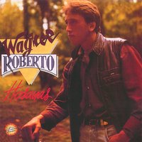 De Novo Perdão - Wagner Roberto