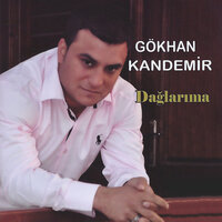 Boyabat'ın Pirinci - Gökhan Kandemir