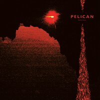 Cold Hope - Pelican