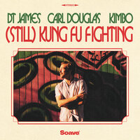 (Still) Kung Fu Fighting - DT James & Kimbo & Carl Douglas