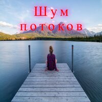 Мелодия течения - Легкий шорох & Лесная песня & Песня волны