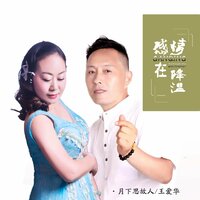 感情在降温 - 月下思故人 & 王爱华