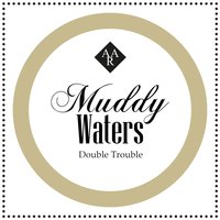 You Got to Take Sick and Die Some of These Days - Muddy Waters