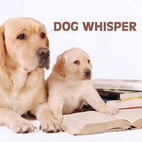 Clair de Lune Debussy (Cat Training) - Dog Whisper