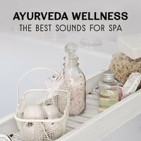 Asian Zen Spa - Massage Sanctuary