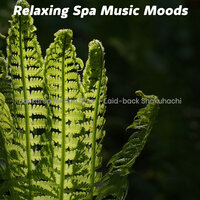 Shakuhachi and Guitar Soundtrack for Deep Relaxation - Relaxing Spa Music Moods