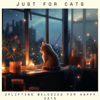 Moonlit Reverie of Calm - Relax My Cat