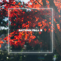 Autumn Fall 2 - bxkq
