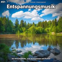 Ruhige Musik zum Lernen - Entspannungsmusik Archiv & Schlafmusik & Entspannungsmusik