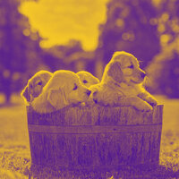 Trio Jazz Soundtrack for Doggy Mental Health - Sleeptime for Dogs