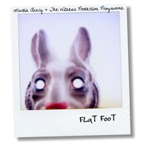 Flat Foot - Martin Clancy & The Witness Protection Programme