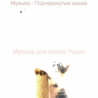 Настроения (Кошки) - Музыка для кошек Радио