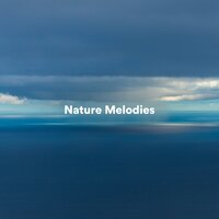Birds Peace - Naturgeräusche & Bruit De La Mer & La Naturaleza Del Sueño