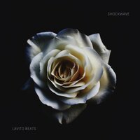 The Stash - lavito