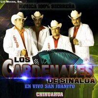 Hola Mi Amor - Los Cardenales De Sinaloa