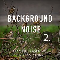 Peaceful Morning Bird Symphony, Pt. 11 - Thomas O'Reilly