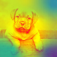 Trio Jazz Soundtrack for Mans Best Friend - Doggy Relaxing Sounds