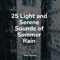 White Noise Rain Drops - Cascada de Lluvia & Binaural Creations & Rain Sound Plus