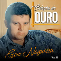 Porque Te Amo - Cícero Nogueira