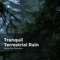 Lush Nature Rainstorm - Rain Recorders & Rainfall & Nature Rain Relaxation