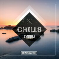 Other Path - Synthea