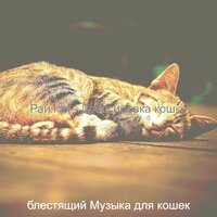 Моменты (Кошки) - блестящий Музыка для кошек