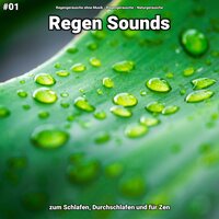 Regen Sounds, pt. 16 - Regengeräusche ohne Musik & Regengeräusche & Naturgeräusche