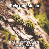 Relaxing Music, Pt. 33 - Yoga Music & Relaxing Spa Music & Yoga