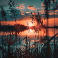 Peace as Day Fades to Dusk - Reiki Music Energy Healing & The Flowes of Zyn & Zen Radio 1