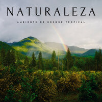 Lluvia Ambiente - Naturaleza Sonidos & Ruidos de la Selva & Pájaros del Bosque