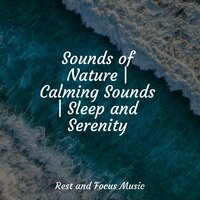 Mindful Harmony - Meditation Awareness & Egyptian Meditation Temple & Tibetan Singing Bowls for Relaxation