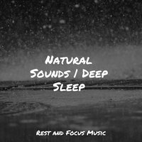 Waves in Flux - Kings of Nature & Sounds of Nature White Noise Sound Effects & Baby Sweet Dream