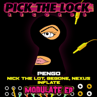 Flex - Pengo & Nexus
